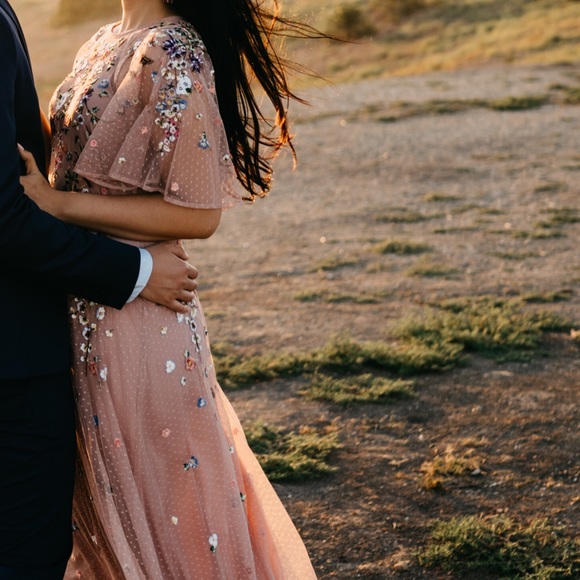 floral embroidered dobby mesh flutter sleeve maxi dress